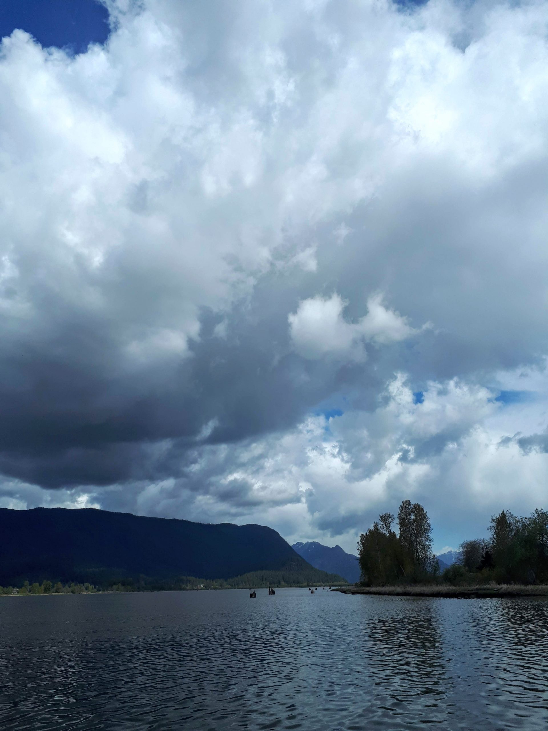 The view from the docks at the Pitt Meadows Marina