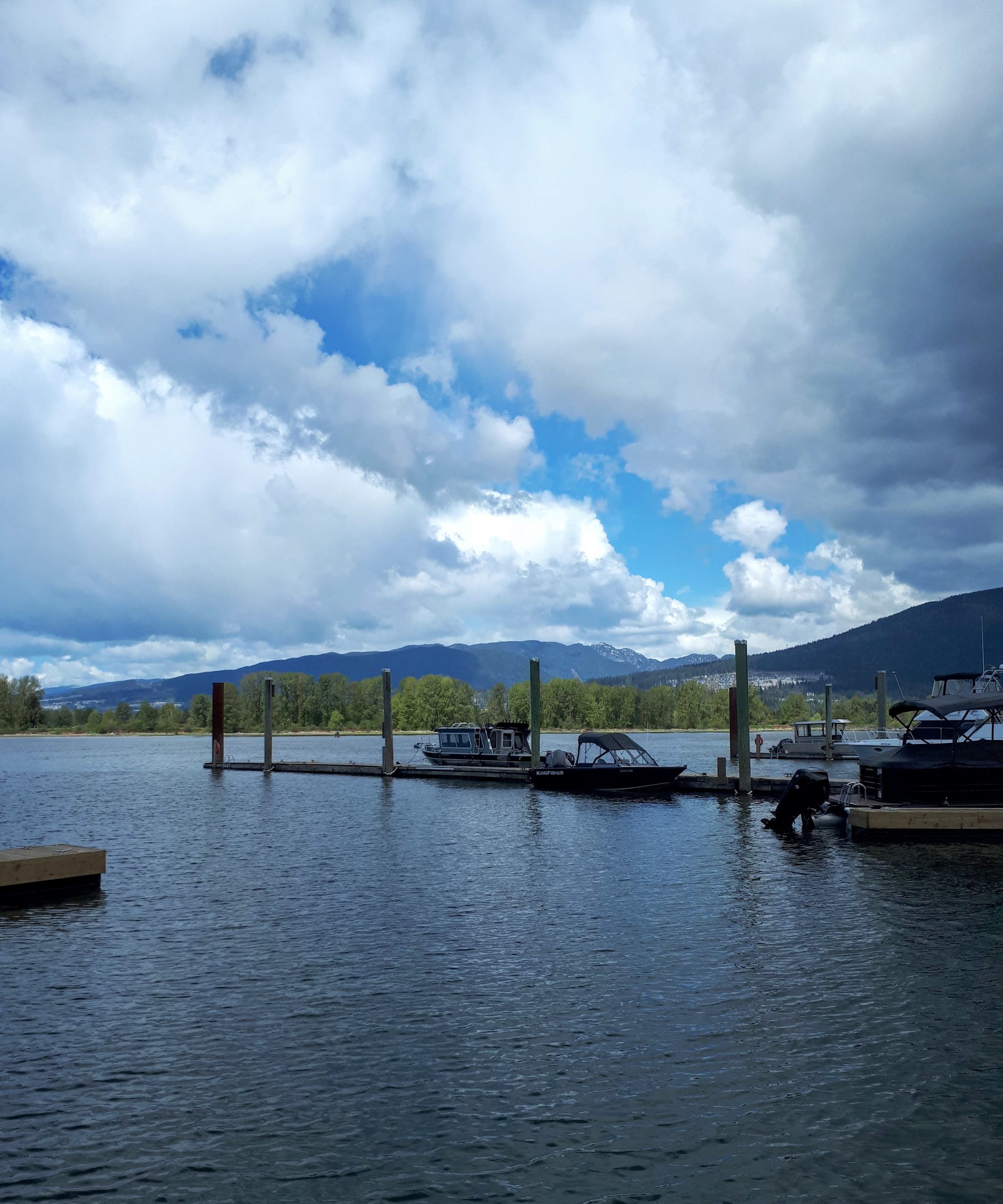 The gorgeous view at the Pitt Meadows Marina