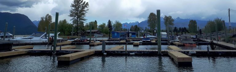 The whole gorgeous view of the Pitt Meadows Marina